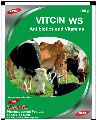 VITCIN WS VITCIN WS
